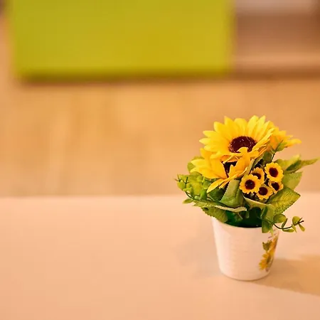 Orizont Sea View Apartment- N Pools * Мамая